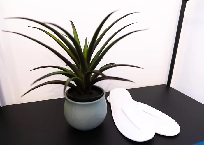 Soni Exclusive 389 Plaza With Private Parking & Self Check-in * Bukarest