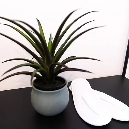 Soni Exclusive 389 Plaza With Private Parking & Self Check-in * Bucarest